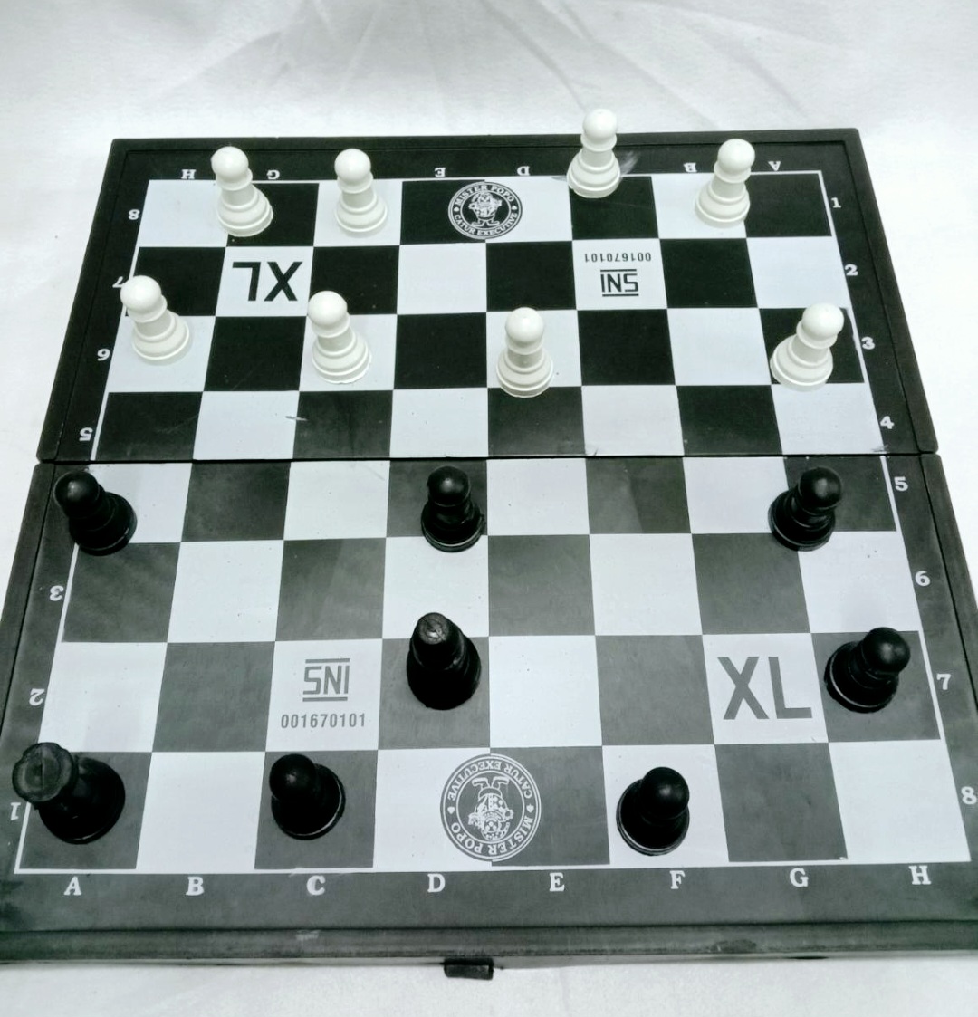 Catur Plastik
